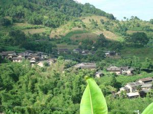 先鋒營村 先鋒營村