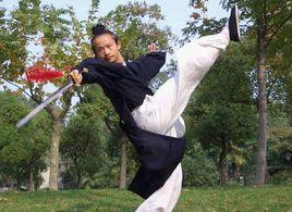 武當三豐太極劍 武當三豐太極劍