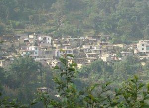 林家寨自然村 林家寨自然村