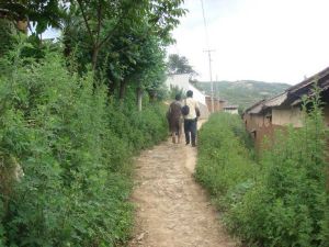 阿母臘小村 阿母臘小村