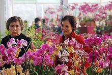 圖5 陳村花會會場