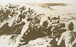 合肥保衛戰 合肥保衛戰