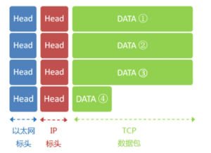 完整序號協定數據單元 完整序號協定數據單元
