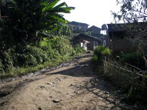 大芒堆村 大芒堆村