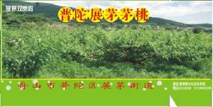 展茅果木專業合作社 展茅果木專業合作社