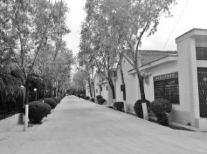 王峪口村 王峪口村