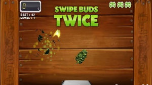 修剪幼芽 修剪幼芽