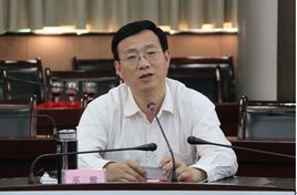 巫敏[四川省成都市人大常委會副主任]