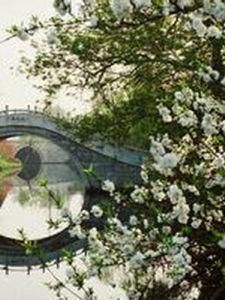 煙花三月下揚州