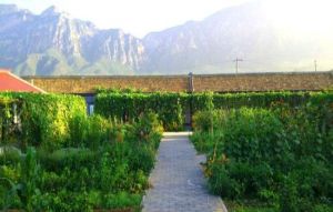 容盛生態農莊 容盛生態農莊