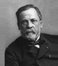 路易斯·巴斯德