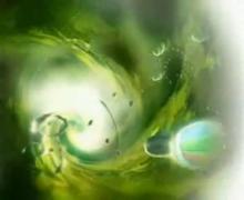 2003年10月12日-2004年9月1日