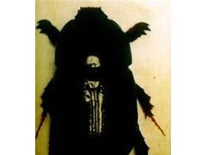 甘蔗黑色蔗龜 甘蔗黑色蔗龜