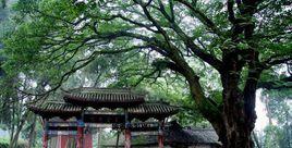 三台雲台觀 三台雲台觀