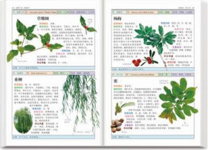 《南方藥用植物：近600種中國南方藥用植物的彩色圖鑑》