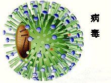 小兒獲得性免疫缺陷綜合徵 小兒獲得性免疫缺陷綜合徵