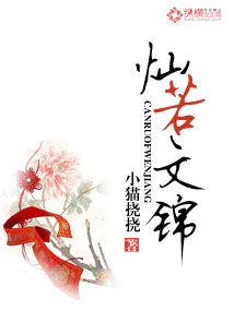 燦若文錦 燦若文錦