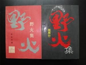 《野火集》 《野火集》