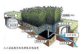 人工濕地系統 人工濕地系統