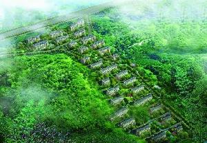 綠野春天翠谷幽蘭 綠野春天翠谷幽蘭