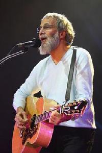 凱特·斯蒂文斯 凱特·斯蒂文斯