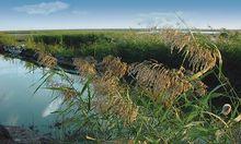 天津古海岸與濕地國家級自然保護區