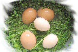 薺菜煮雞蛋