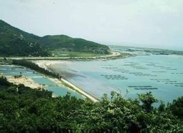 銀沙灘生態園 銀沙灘生態園