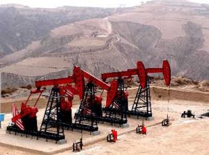 （圖）石油特別收益金