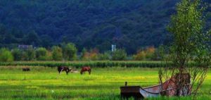 拉市海木府馬幫 拉市海木府馬幫