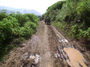 公雞石村 公雞石村