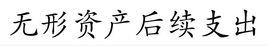 無形資產後續支出 無形資產後續支出