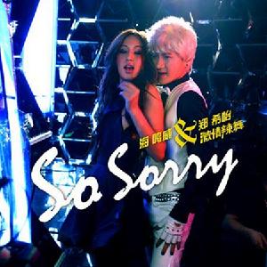 So sorry[英語單詞]