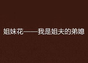 姐妹花——我是姐夫的弟媳