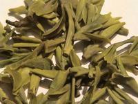 蒼南翠龍茶 蒼南翠龍茶