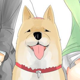 一條狗[漫畫一條狗中的狗]