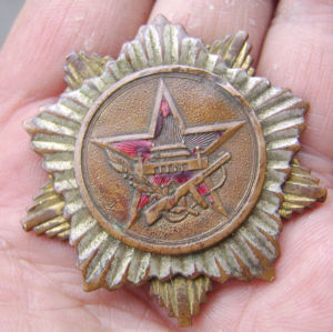 抗美援朝功臣獎章