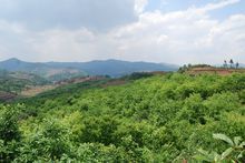 紙廠彝族鄉 紙廠彝族鄉