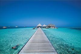 島式唱腔 島式唱腔