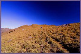 台灣山脈 台灣山脈