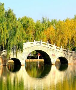 西夏公園 西夏公園