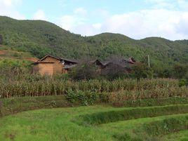 爛木場村 爛木場村