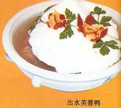 出水芙蓉鴨 出水芙蓉鴨