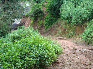 明子山村 明子山村