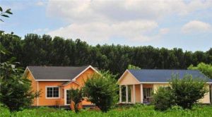 第五季龍水鳳港生態農場