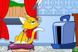 寵物收容所 寵物收容所