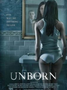 諾曼第登入日的雙重間諜 諾曼第登入日的雙重間諜