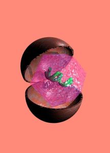 B型肝炎病毒表面抗體