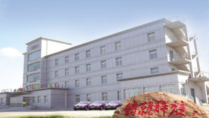 遼寧福鞍控股有限公司 遼寧福鞍控股有限公司