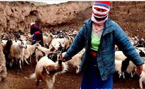 生態壓力 生態壓力